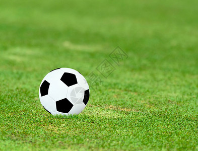 足球在绿地上阳图片