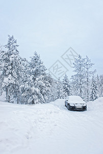 芬兰Ruka村冬季北极圈中停在芬兰Ru图片