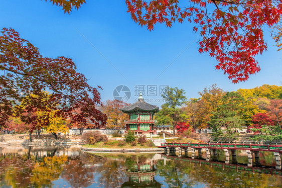 韩国秋天的景福宫图片