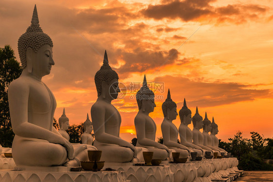很多佛像坐在排上黄昏日落图片