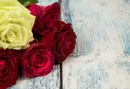 两朵红色两朵栗色和一朵白玫瑰与露珠滴在蓝色背景木板上图片