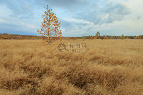 秋天森林中的俄罗斯河图片