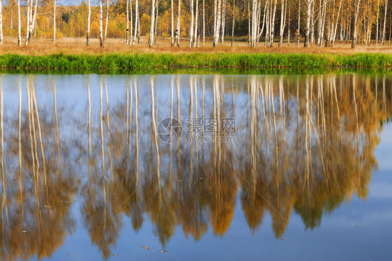 秋天森林中的俄罗斯河图片