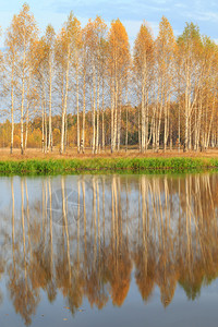 秋天森林中的俄罗斯河图片