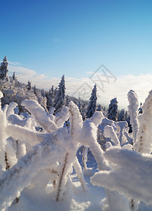 雪山景观图片