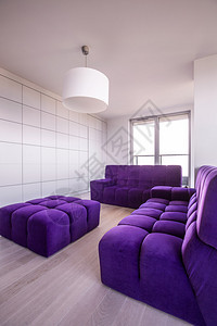 公寓的紫色和白色客厅图片