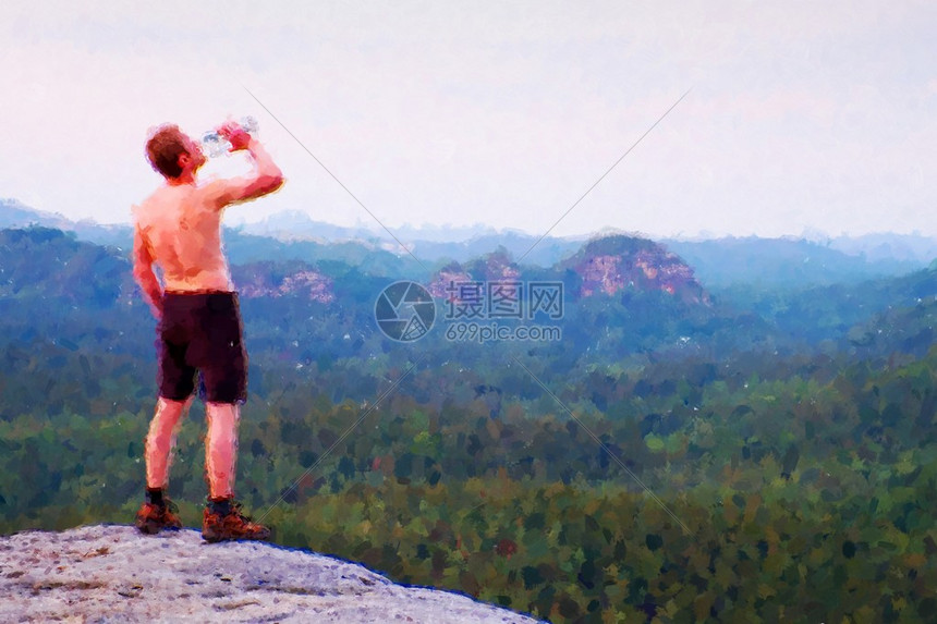 在瑞士萨克森州沙石岩公园顶峰的疲倦旅游者观看着迷雾的风景图片