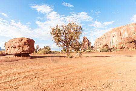 位于美国古迹谷的平原地区的树木被红岩爆发和沙图片