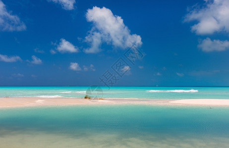 美丽的白色沙滩和加勒比海图片