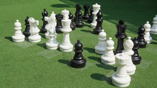 草地上的国际象棋模型图片