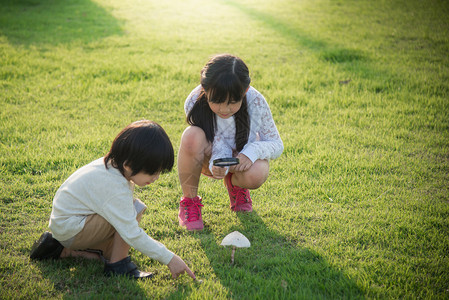 可爱的亚洲孩子在公园采蘑菇图片