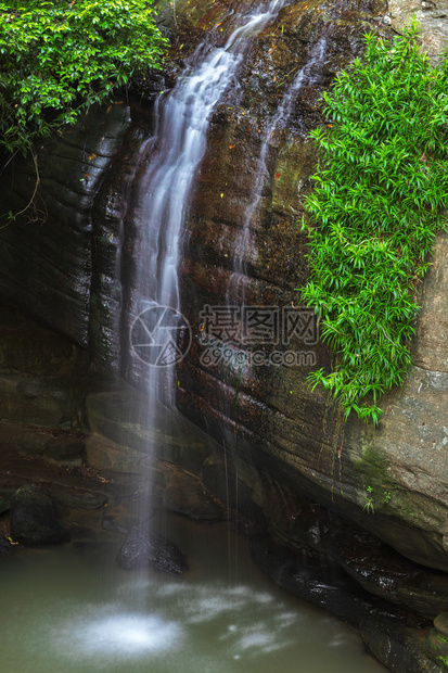 位于澳洲阳光海岸布德林森瀑布漫步中的宁静瀑布BuderimForestfall图片