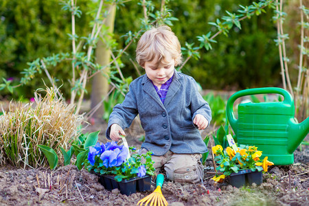 可爱的小男孩在春天的花园里帮助园艺有趣的孩子种花家庭春图片