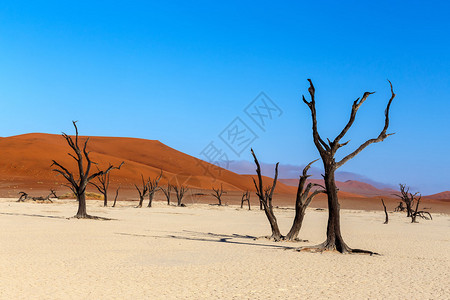 纳米布沙漠中隐藏的死维莱美丽的日出景观图片