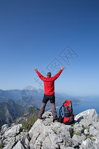 站在山巅的大象图片