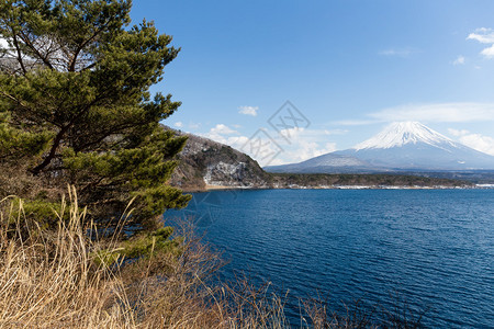 日本富士山的M图片