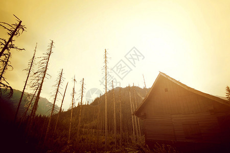 山中抽象的自然景观山中的木屋图片