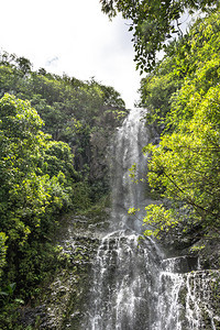 夏威夷毛伊省Haleakala公园Kapahu图片