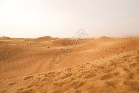 日落自然背景下的金色沙漠图片
