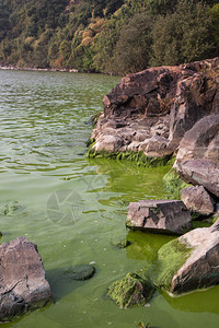 大湖氰化物湖严图片