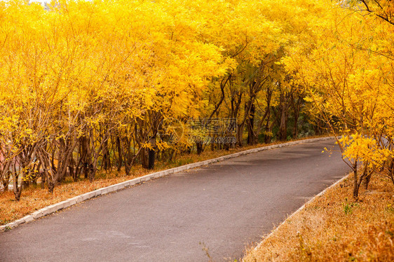 利用陆路交通和回程背景滴水路进行陆地运输和旅行图片