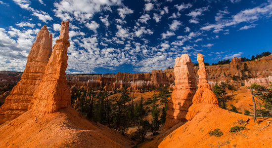 BryceCanyon风景图片