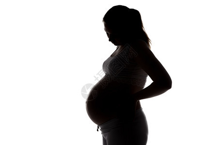 孕妇在白色背景下看腹部的剪影图片