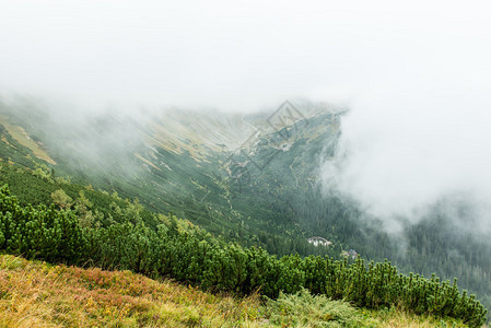 斯洛伐克的塔特拉山林覆盖图片