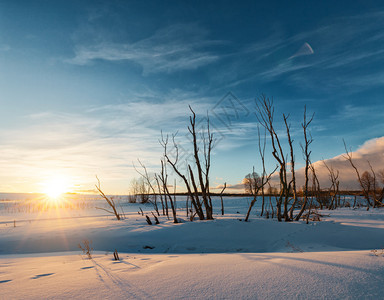 冬季风景太阳图片