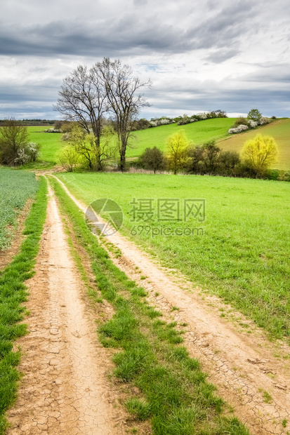 穿过绿色牧场和多云天空的土路图片