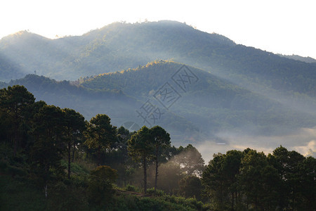 清晨日出在Doiangk图片