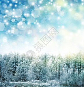 冬季森林冬季景观抽象的冬季圣诞节背图片