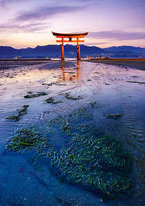 日落时的浮动鸟居门宫岛广岛日本图片