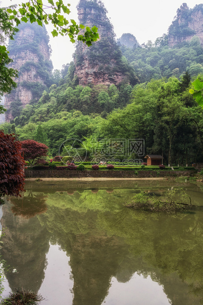 袁家界公园风景秀丽著名的高大怪诞岩石成为阿凡达的灵感来源图片