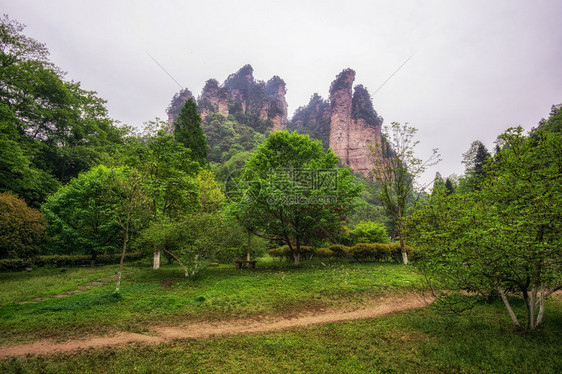 袁家界公园风景秀丽著名的高大怪诞岩石成为阿凡达的灵感来源图片