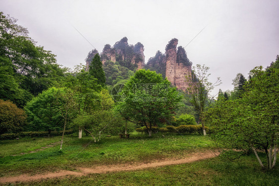 袁家界公园风景秀丽著名的高大怪诞岩石成为阿凡达的灵感来源图片