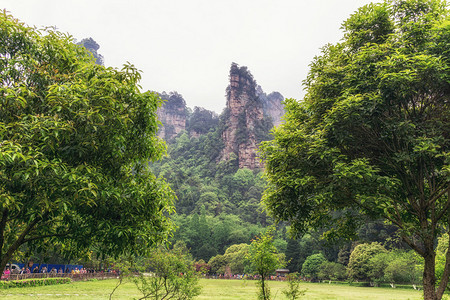 袁家界公园风景秀丽著名的高大怪诞岩石成为阿凡达的灵感来源图片