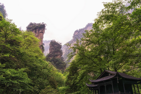 张家杰Zhangjiajie图片