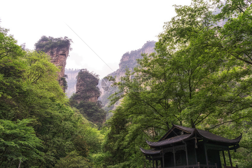 张家杰Zhangjiajie图片