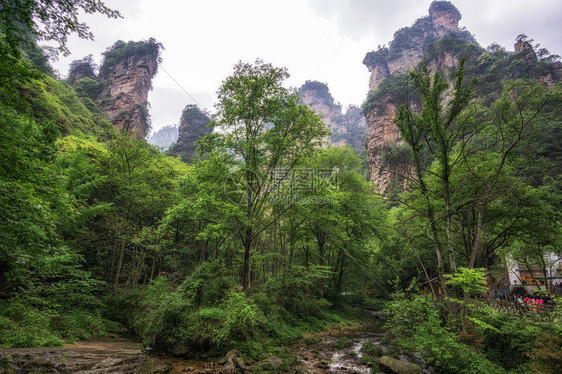 在的Yangjiajie风景区图片