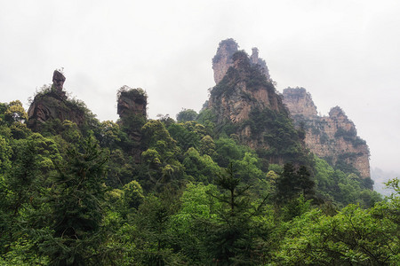 杨家界风景名胜区张家界山水景观图片