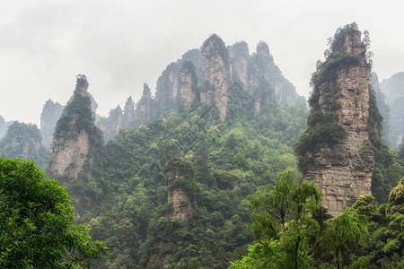 杨家界风景名胜区张家界山水景观图片