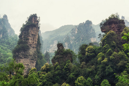 杨家界风景名胜区张家界山水景观图片