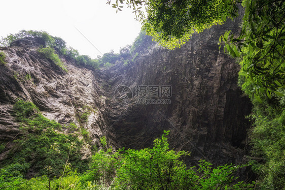 大峡谷的底部有溪流围绕小溪水的森林和图片