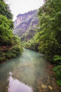 大峡谷的底部有溪流围绕小溪水的森林和图片