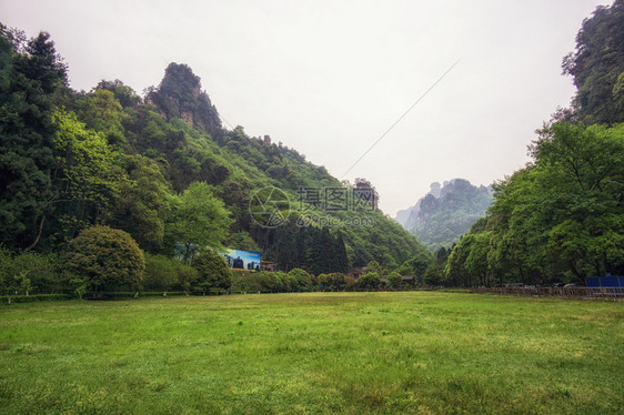 袁家界公园风景秀丽著名的高大怪诞岩石成为阿凡达的灵感来源图片