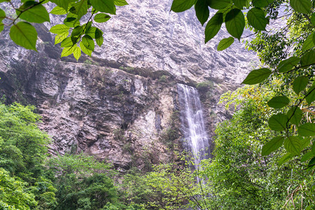 大峡谷瀑布风景森林和狭小的溪图片