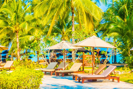 美丽的热带和海滨风景椰子棕榈树图片