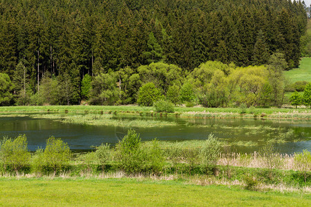 美丽的夏季乡村景观与小泻湖带池塘的乡村景观春天的风景绿色捷克乡村美丽的高地vysocin图片