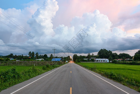 在雨天傍晚的夜空下沿着公路沿面绿稻田背景图片